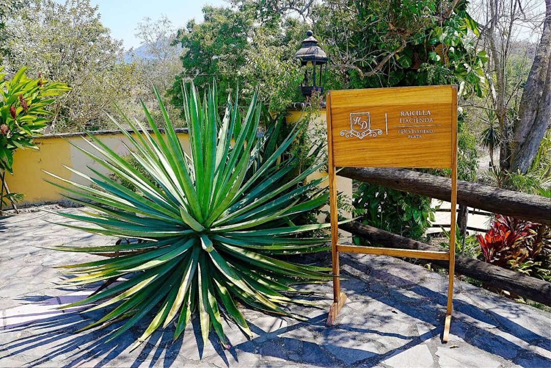 Hacienda El Divisadero 20260013