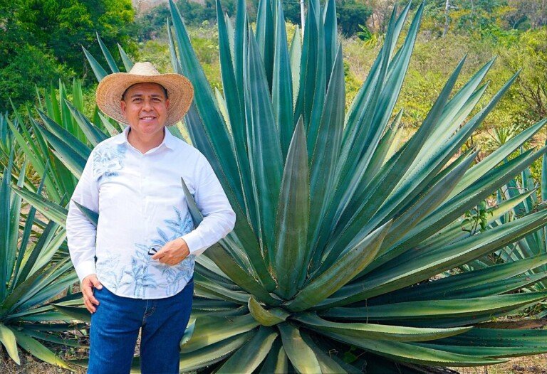 Raicilla con raíz y futuro: Hacienda El Divisadero preserva la tradición en Cabo Corrientes