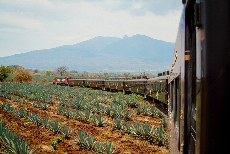 100 Imperdibles de México: Tequila posiciona a Jalisco como potencia turística global