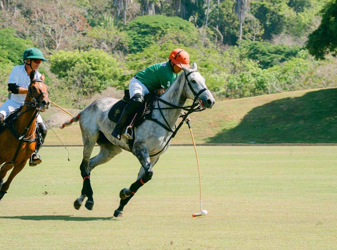 polo riviera nayari