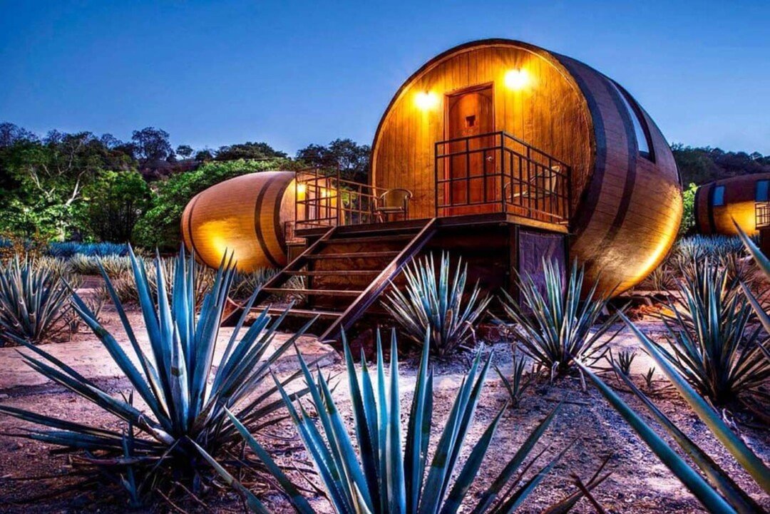 Día del Tequila: descubre Jalisco entre agaves, trenes y sabores 6 La Cofradia 6