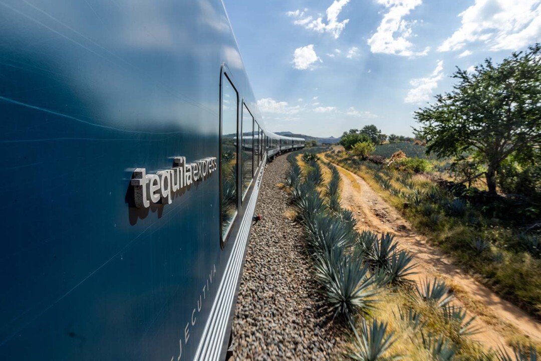 Día del Tequila: descubre Jalisco entre agaves, trenes y sabores 2 Tequila Express