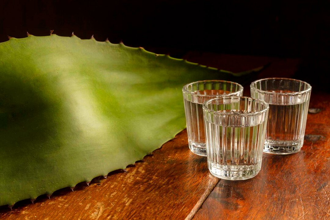 Mezcal de Pechuga: el espirituoso ritual que México destila con alma 5 delicious mezcal beverage composition