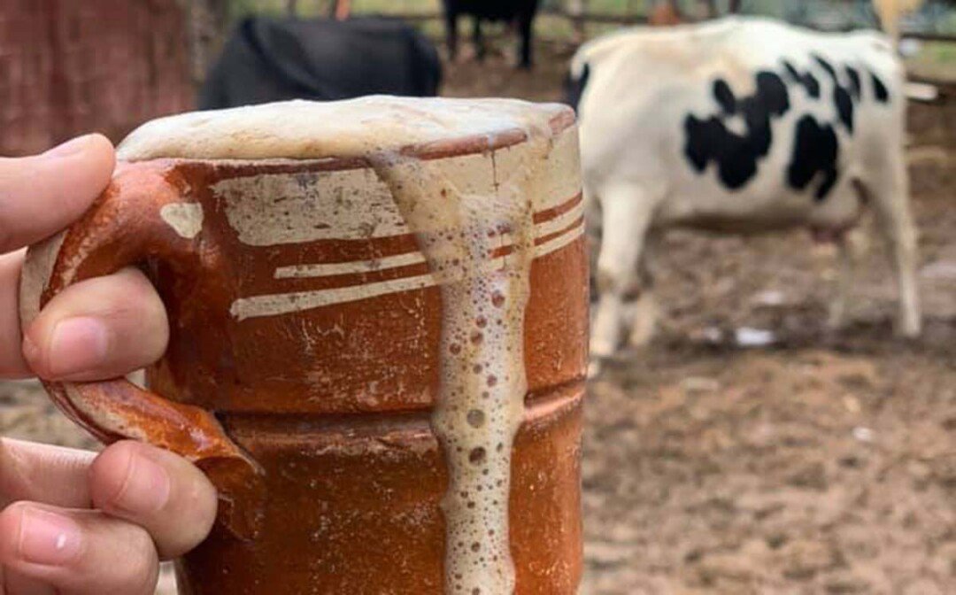 Sabor de una herencia: Jalisco cuenta su historia a través del alma de sus bebidas 8 El pajarete