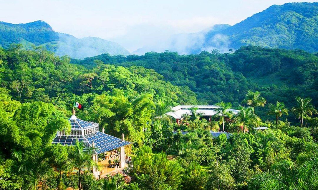 10 atracciones de Puerto Vallarta para disfrutar una experiencia única 7 Jardin Botanico