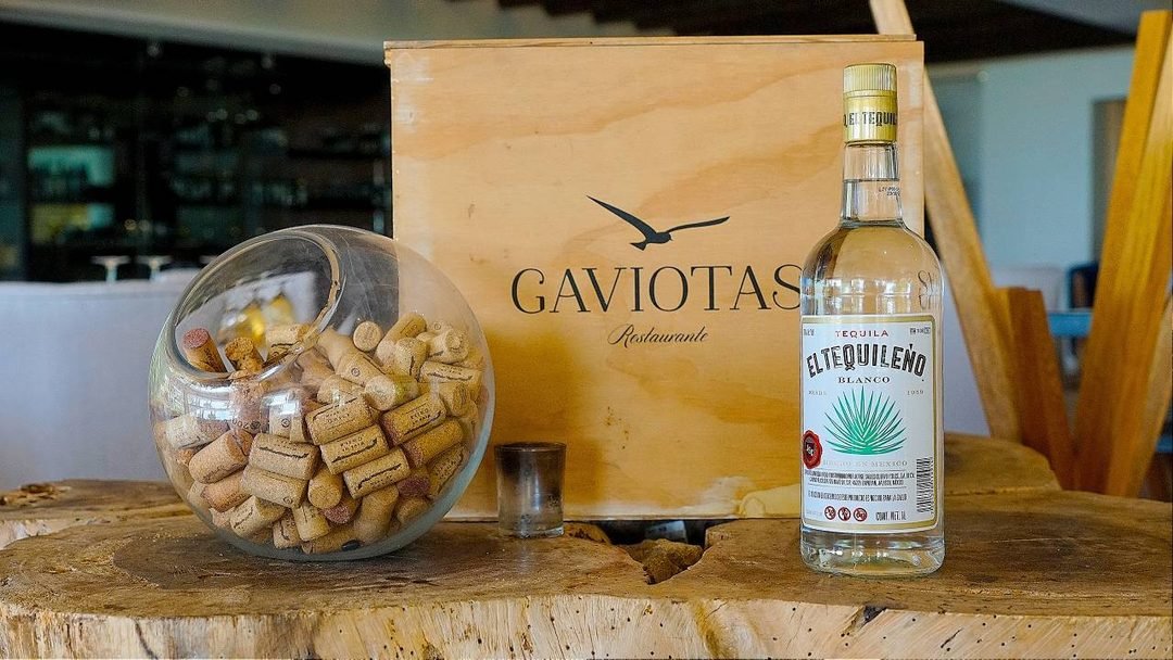 De Tequila a Vallarta: Efraín Villanueva trae los sabores de Mango a Gaviotas del Sheraton Buganvilias 5 gaviotas del hotel sheraton tequila el tequileno