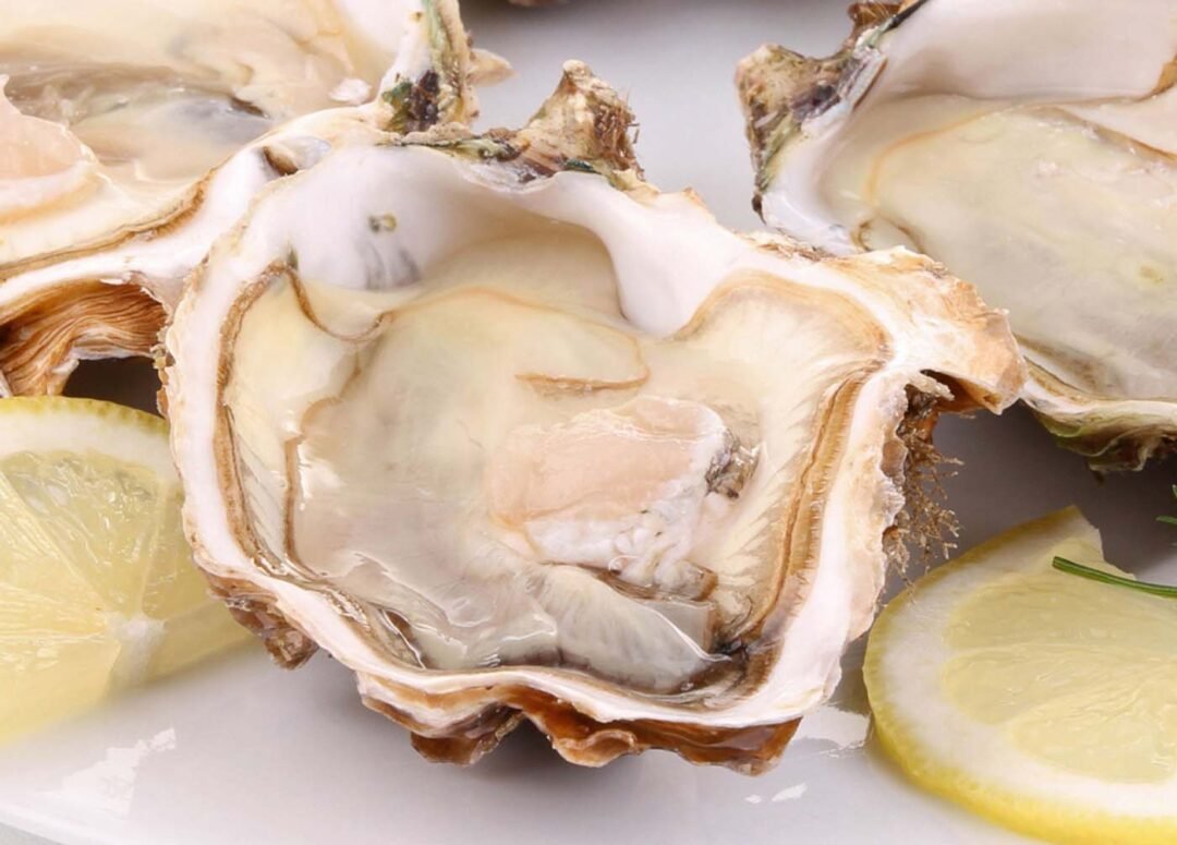 ¡Cómo comer ostiones! Guía gastronómica para elegirlos y disfrutarlos 2 ostiones 04