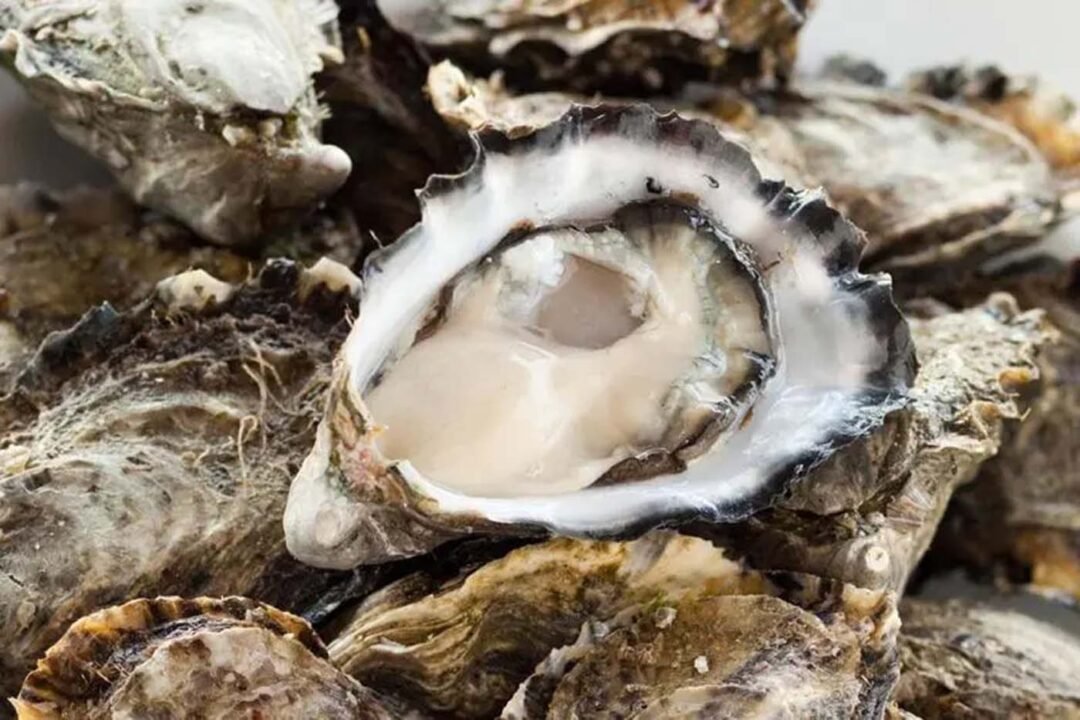¡Cómo comer ostiones! Guía gastronómica para elegirlos y disfrutarlos 4 ostiones