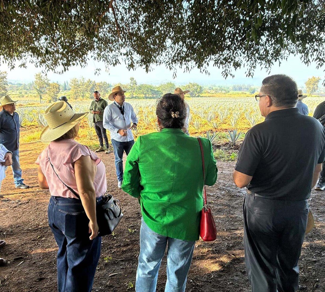 Recorrido en campo