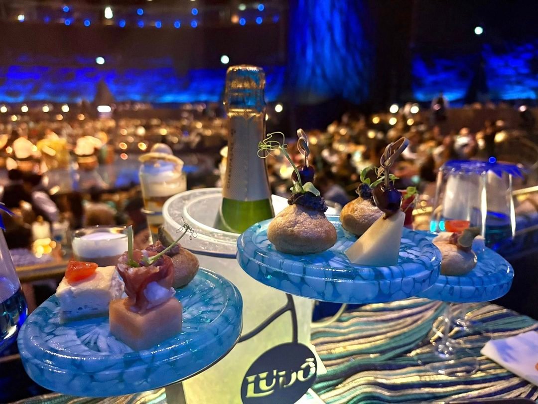 ludo cirque du soleil vidanta 7