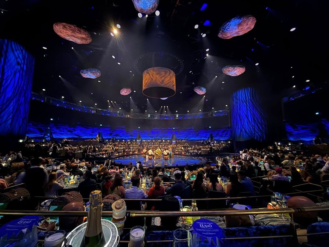 ludo cirque du soleil vidanta 8